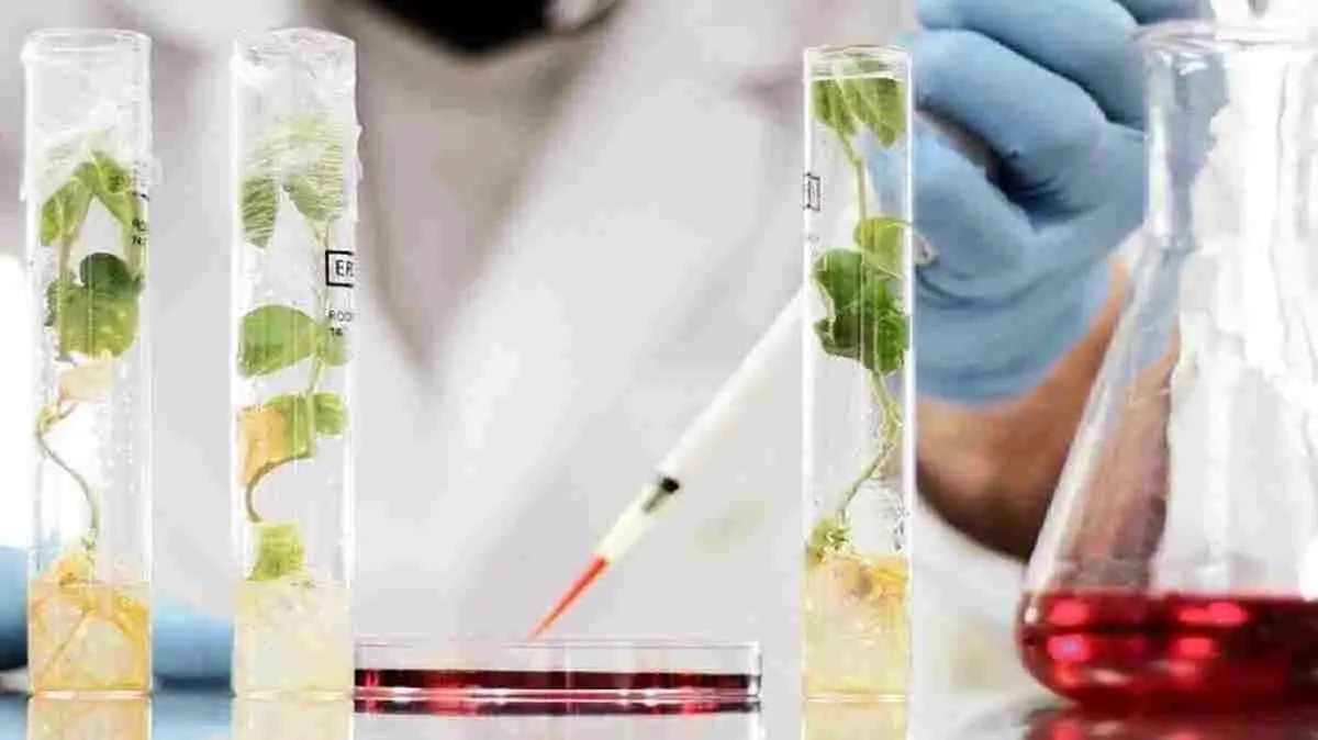 Empresa spin off de Grupo Bioceres se transformó en el nuevo unicornio argentino