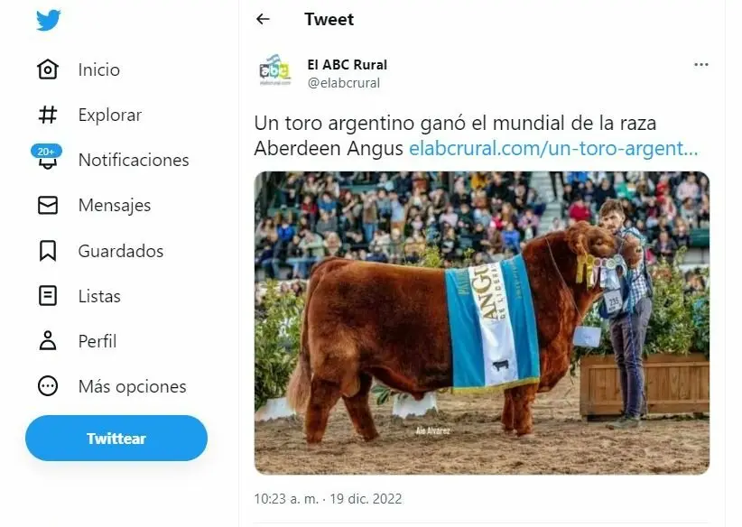 “Muchaachos…”, entre el Mundial de Messi, el toro Mateo y el ingenio popular en las redes