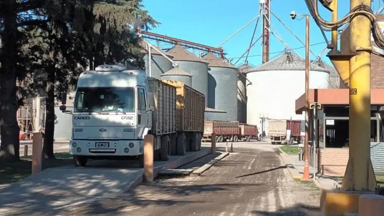 La humedad complicó el acopio de la cosecha gruesa en la región