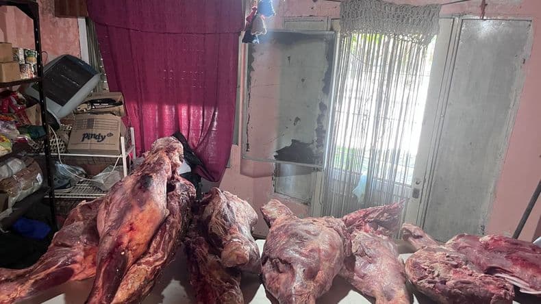 Secuestraron casi 180 kilos de carne bovina y avanzan hacia detenciones por faenas clandestinas
