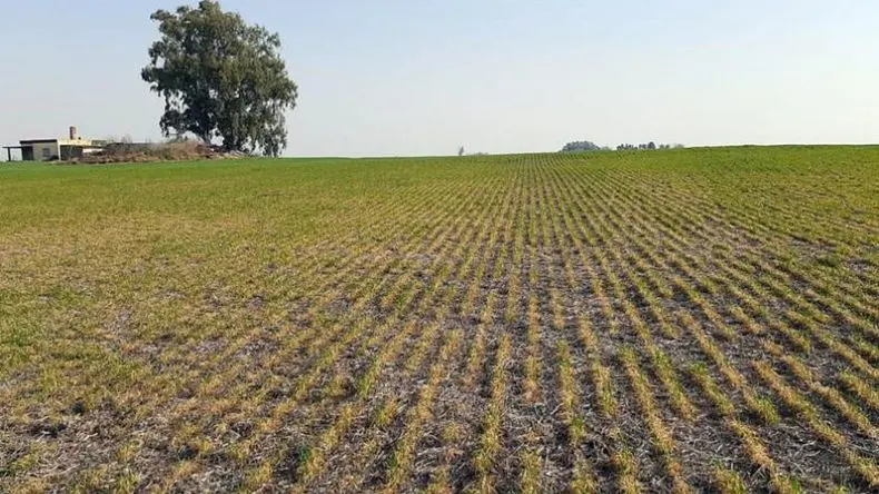 Federación Agraria Ramallo advirtió que la baja de retenciones "no alcanza" para el campo