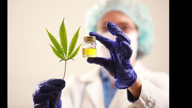 Cannabis medicinal: con espacio propio en el Hospital