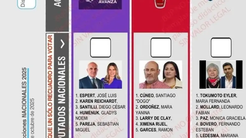 Falló la Cámara Nacional Electoral y la boleta de LLA llevará la cara del pergaminense Espert