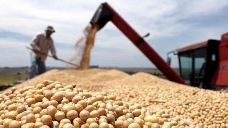 La recaudación creció 117%, impulsada por la liquidación de las exportaciones de soja