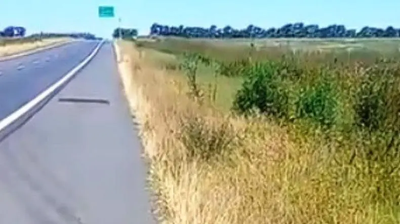 Accidentes en la autopista y rutas de la zona: ¿Cuánto influye la falta de mantenimiento?
