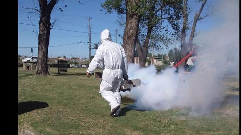 Ante la invasión de mosquitos, fumigan en Pergamino y los pueblos