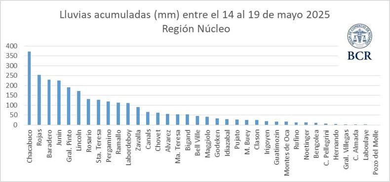 Las lluvias ponen en riesgo la cosecha gruesa en la región núcleo