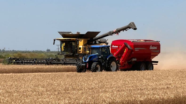 Trigo: con un avance del 40%, la cosecha muestra rendimientos sorprendentes