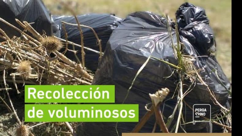Cómo será el cronograma de recolección de residuos voluminosos de octubre