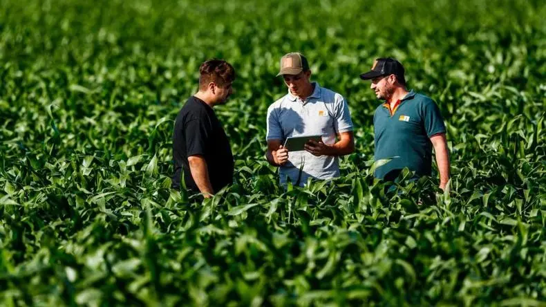 Baja de retenciones: disminución de USD 511 millones en la presión fiscal del productor