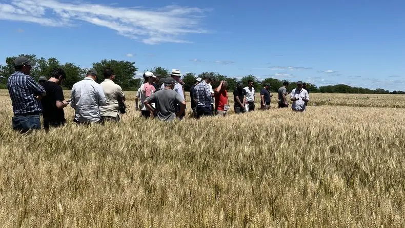 Neogen Semillas, innovación genética para un agro más eficiente