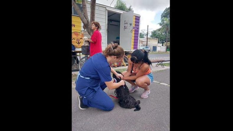 "Control de foco": vacunaron más de 200 mascotas en el barrio Acevedo