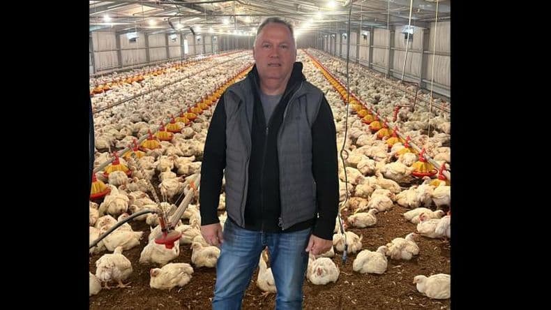 La carne aviar gana espacio con el pollo como bandera