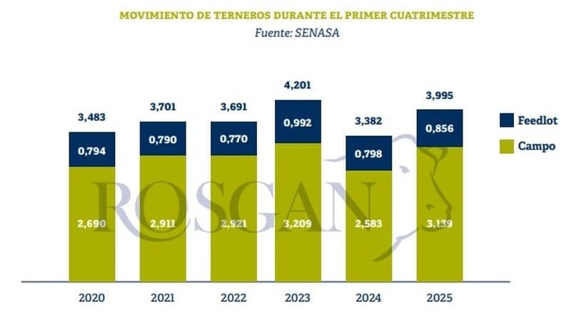 Con buen clima para las pasturas, la recría vuelve a pisar fuerte