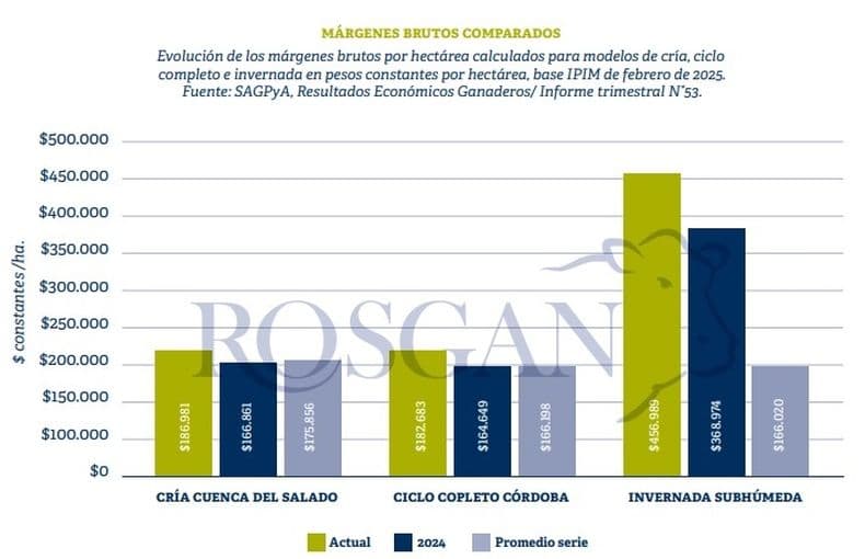 En ganadería, a pesar de un escenario favorable, la faena sigue alta