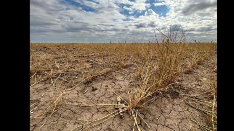 Sequía: son 13 los partidos bonaerenses que declararán la emergencia agropecuaria