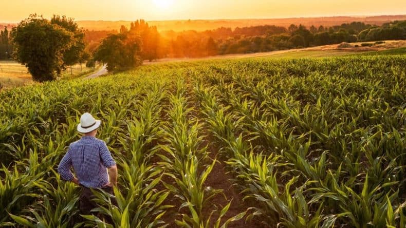 Córdoba lanza el primer Seguro Multirriesgo Agrícola del país