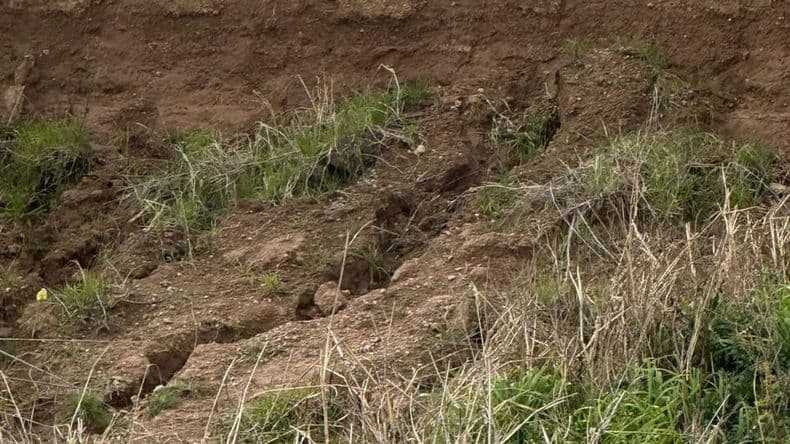 La autopista Pilar–Pergamino suma riesgos por falta de mantenimiento y ausencia de controles