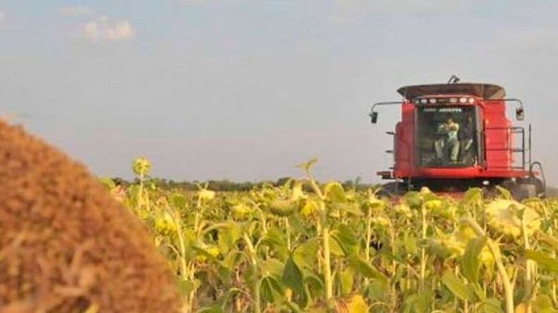 El riego se presenta como una inversión clave para la producción