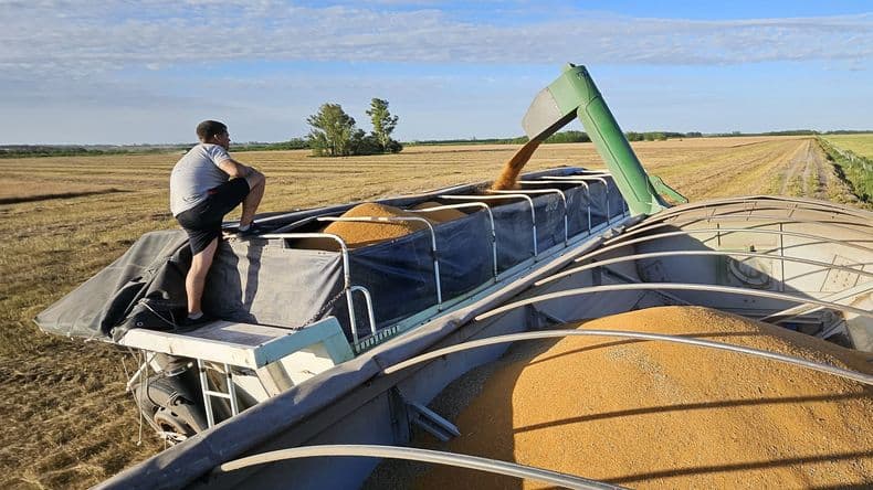 El agro liquida divisas: casi U$S 9 mil millones en lo que va de 2025