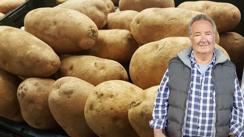 Precio de la papa: el derrumbe del consumo pone en jaque a los productores