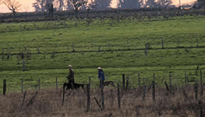 Buscan endurecer las penas contra la caza furtiva en campos bonaerenses