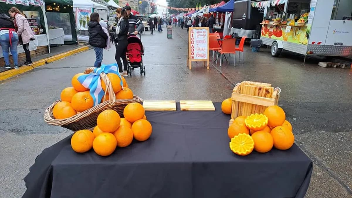 San Pedro: FinEs abrirá un punto de inscripción durante la Fiesta Provincial de la Naranja de Ombligo