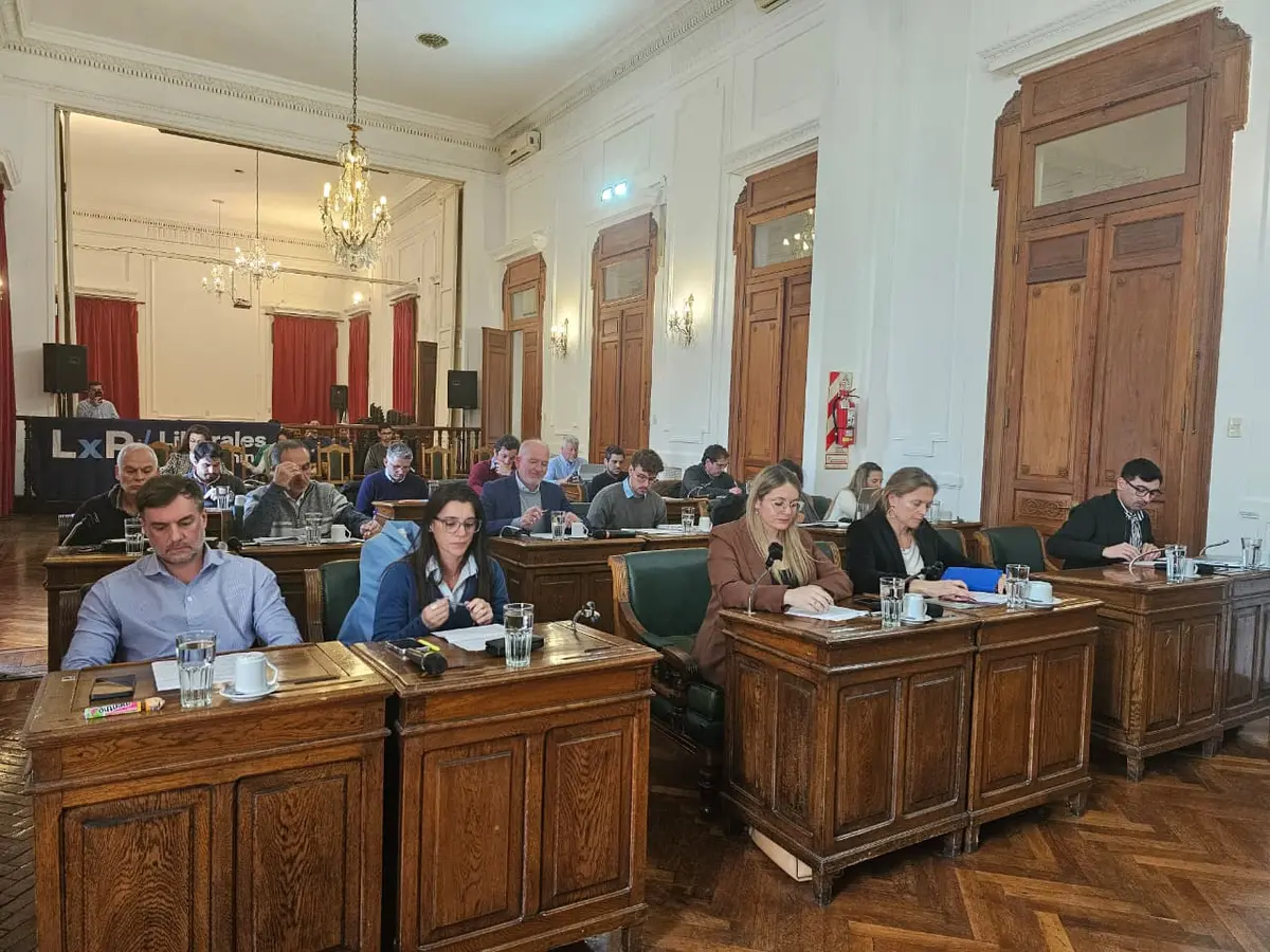 El Concejo Deliberante aprobó distintos proyectos y debatió iniciativas sobre seguridad, inclusión y alivio fiscal