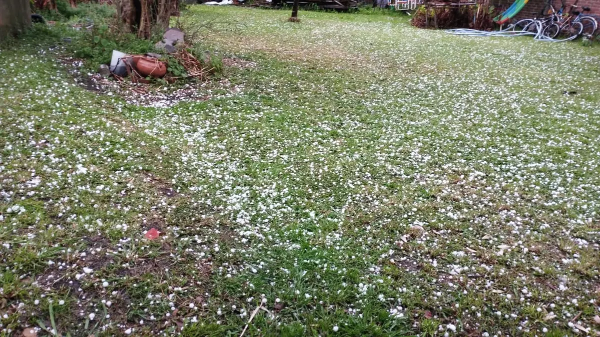 Caída de granizo en El Socorro: una fuerte tormenta dejó hasta 30 milímetros de lluvia y genera preocupación por los cultivos