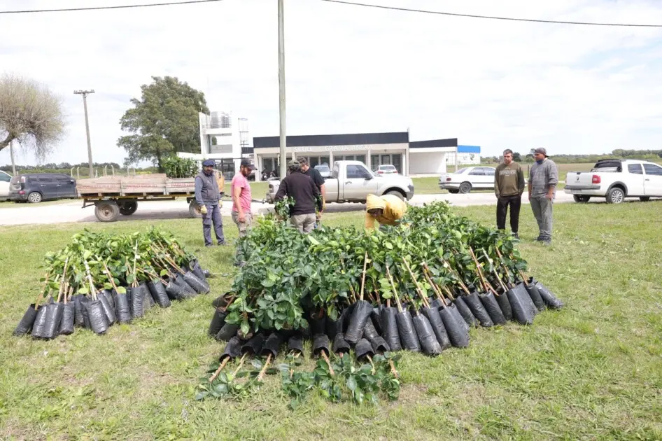 San Pedro entregó más de 600 plantas frutales a pequeños productores y emprendedores