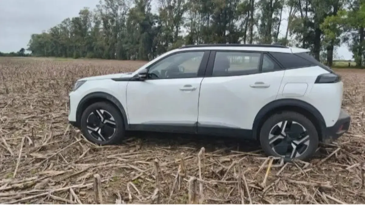 San Pedro: Violento asalto en un vivero cerca de la Ruta 9, golpearon a un matrimonio y robaron su auto